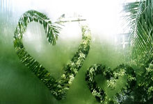 达洛特:对自身表现和晋级感到满意,我们尽努力摆脱困境.